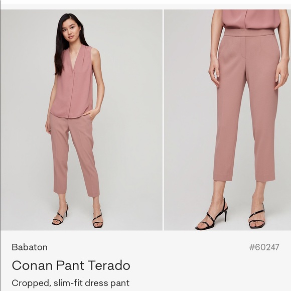 Babaton Pants - Aritzia Babaton Conan Pant in Mauve Earth - sz 10
